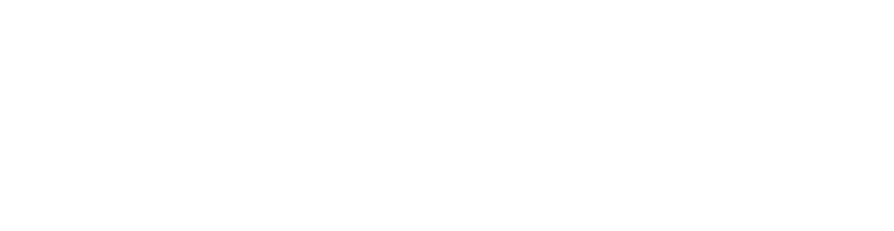 VALLVIIC